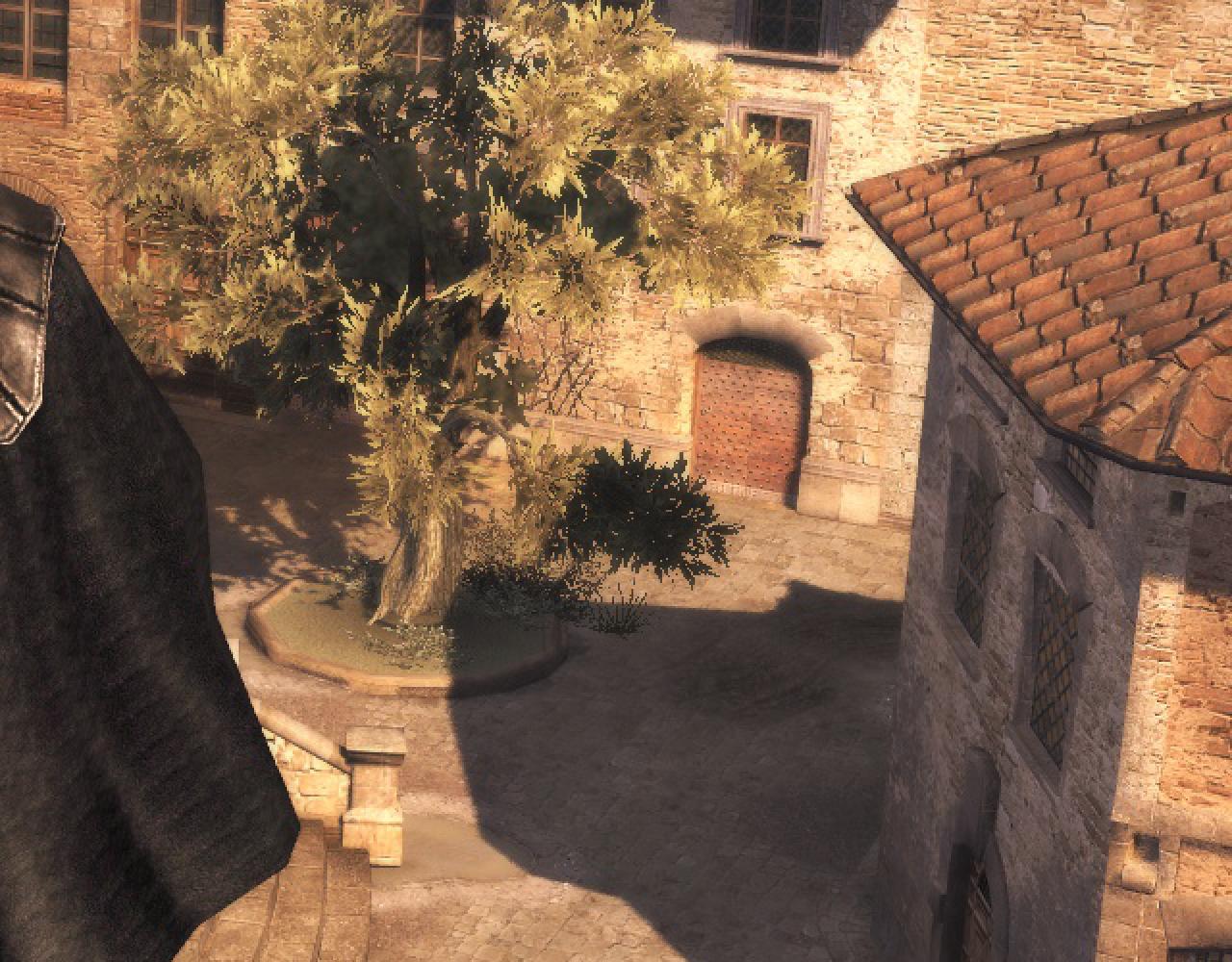 Assassin's Creed Brotherhood (23)