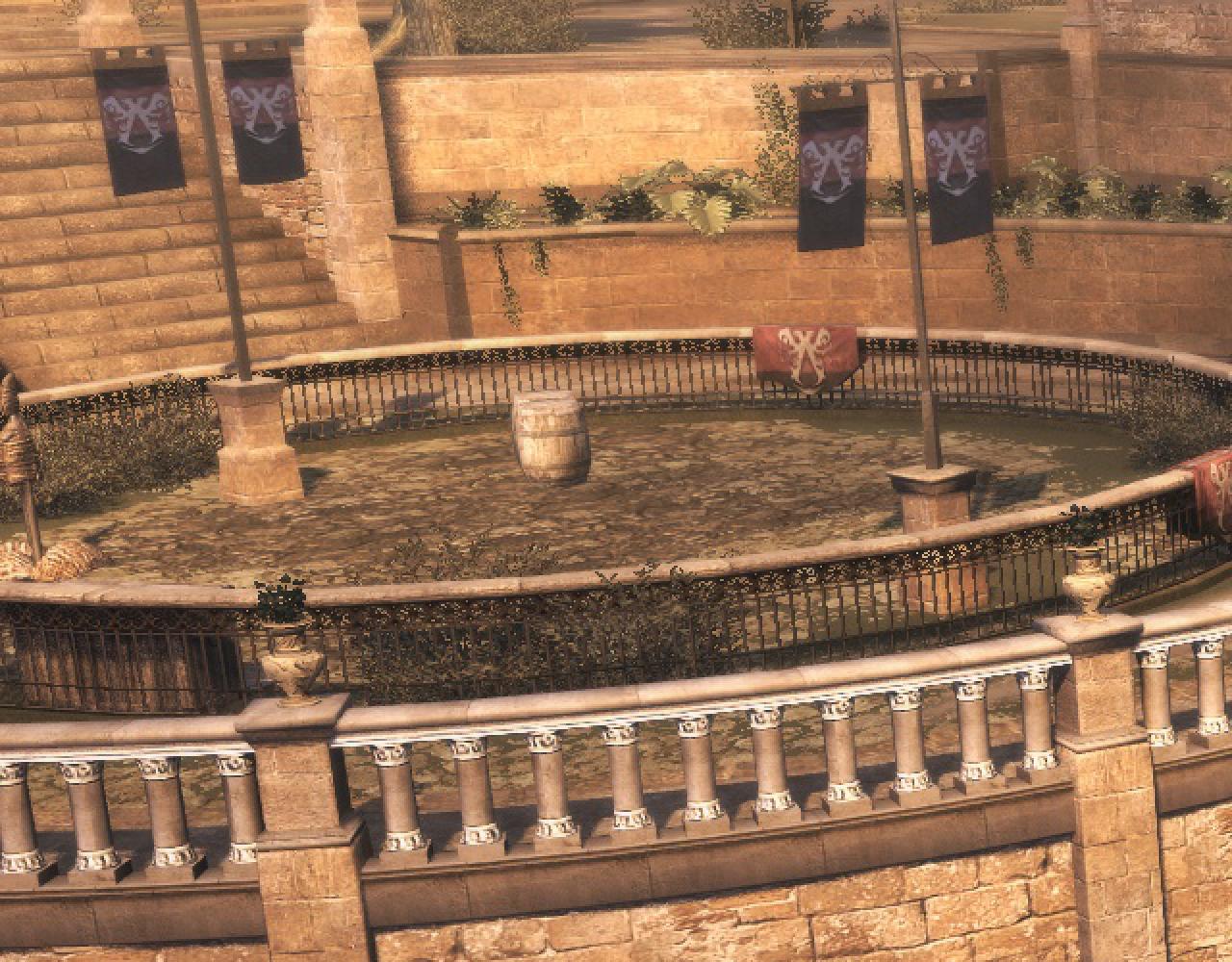Assassin's Creed Brotherhood (25)