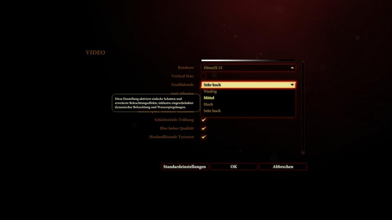 [22/02/2011] Dragon Age 2: Das Grafikmenü (Details zur mittleren Detailstufe)