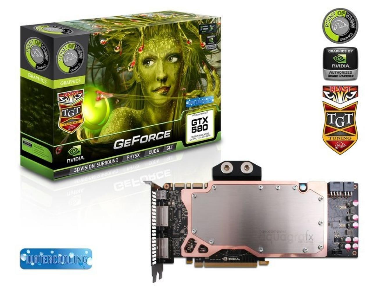 [28/02/2011] Point of View/TGT Geforce GTX 580 Beast 2 (2)