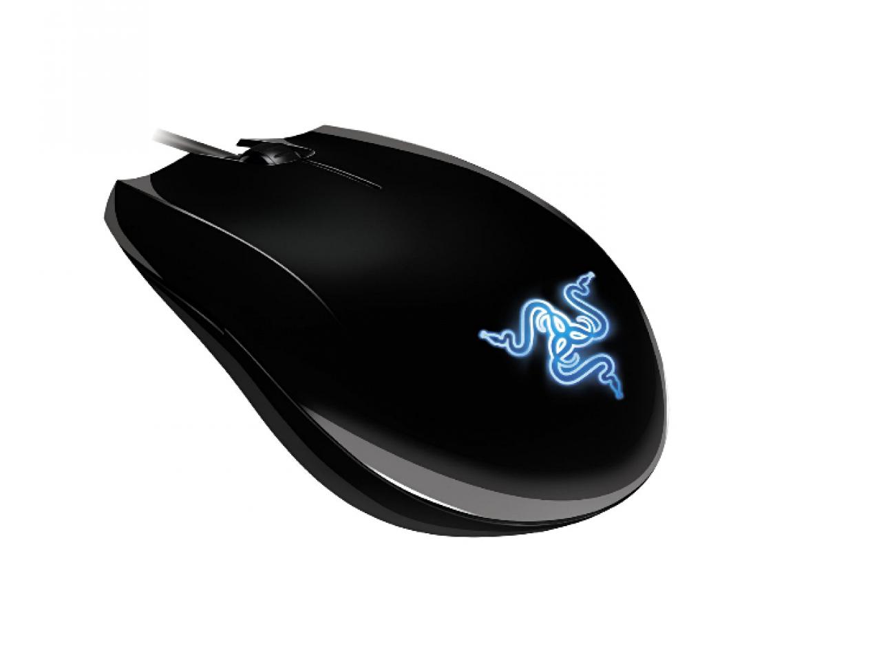 [23/02/2011] Razer Abyssus Mirror: Die nach einer Unterart der Pazifik-Klapperschlange benannte Maus bietet an der Unterseite Schalter, um die dpi- und die Polling-Rate zu verstellen