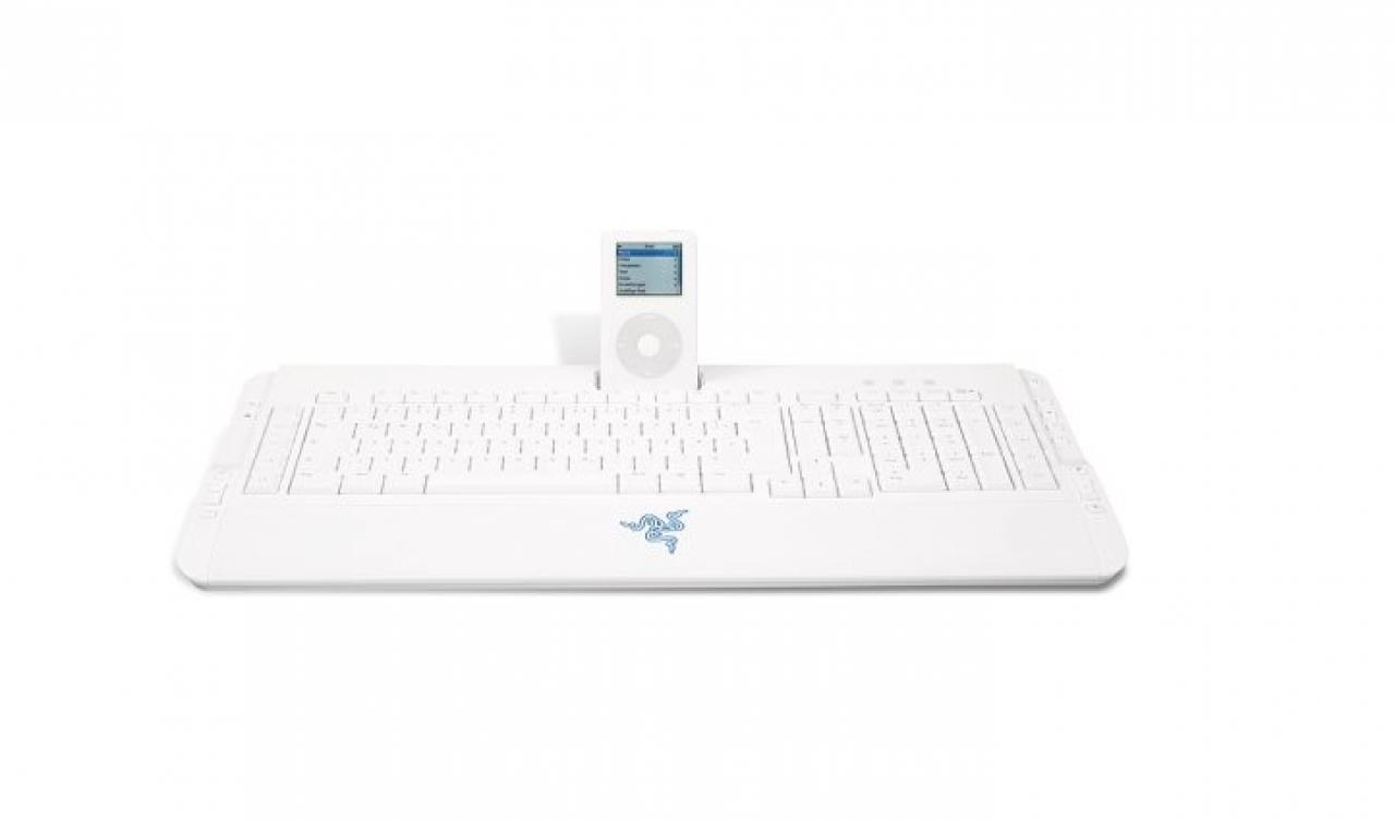 [23/02/2011] Razer Pro Type Ultraflat: Zusammen mit dem weißen Destructor und der 