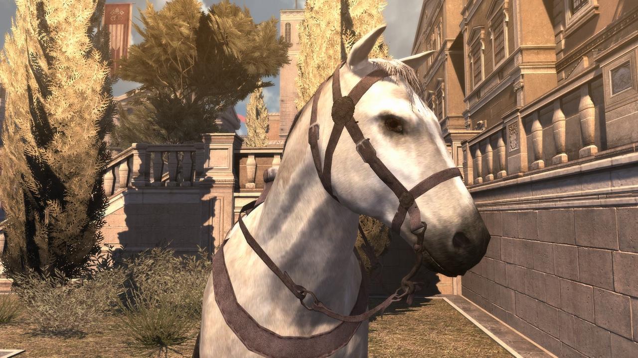 [16/03/2011] Brotherhood Flop: Unrealistisches Pferd