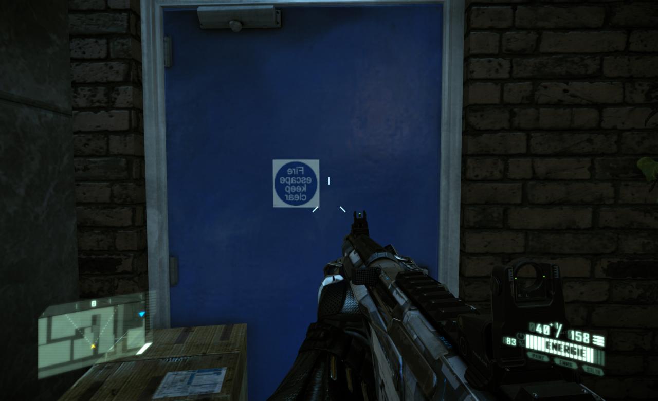 [27/03/2011] Crysis 2 Flops: Texturspiegelung