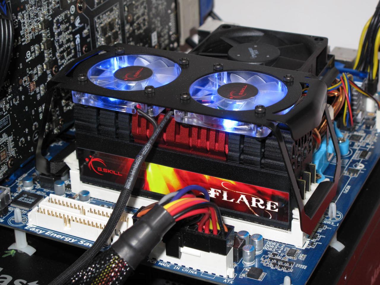 [02/03/2011] GSkill Flare 01