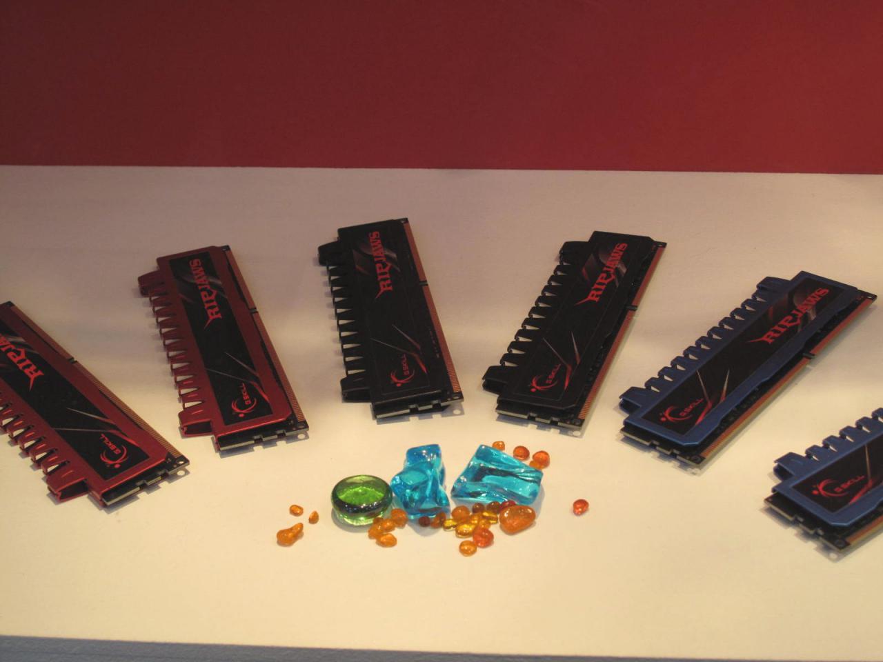 [02/03/2011] GSkill Ripjaws 01