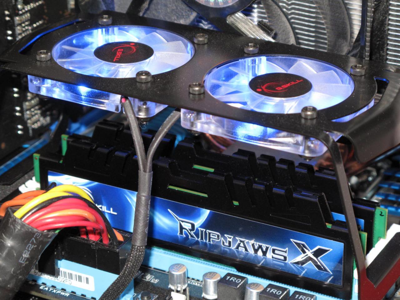 [02/03/2011] Gskill Ripjaws X 02