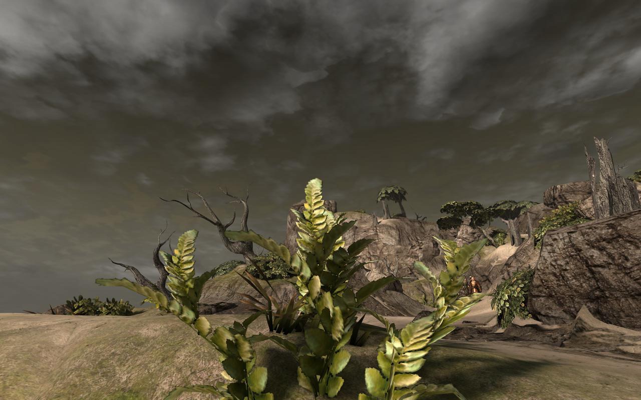 [08/03/2011] Dragon Age 2 Flop: Hässlich gemachte Fauna, zumindest unter DX9
