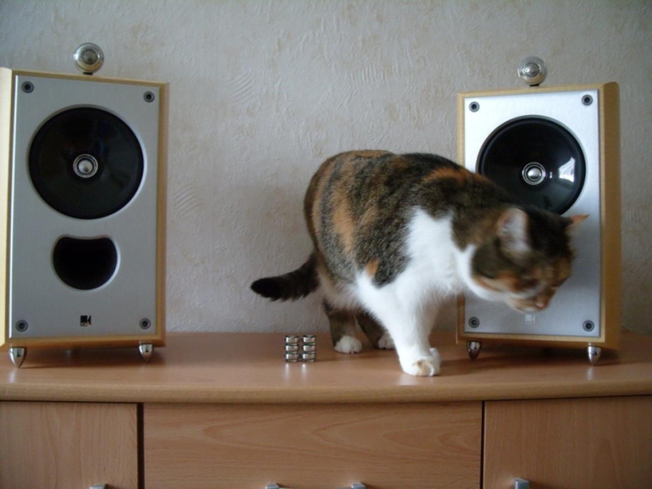 [14/04/2011] Die Soundanlagen der PCGHX-Community
