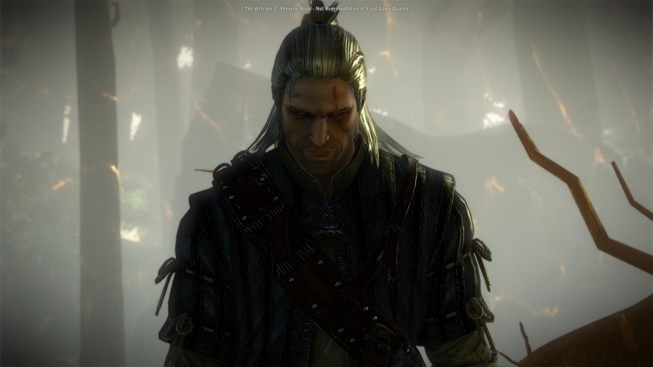 [15/04/2011] The Witcher 2: Assassin's of Kings im Test: Kaufempfehlung mit kleinen Schwächen (18)