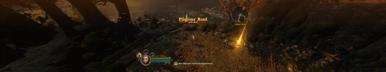 [13/05/2011] Dungeon Siege 3: Bilder und Benchmarks von Nvidia (3)