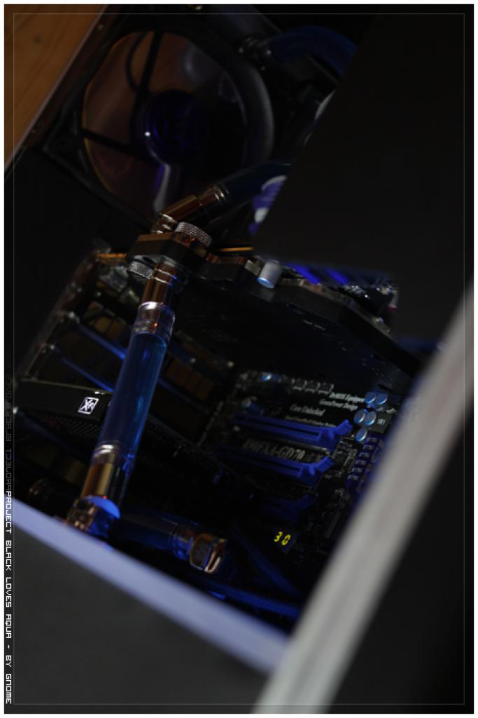 [24/05/2011] Black loves Aqua: neue Bilder vom 24.5.2011 (8)