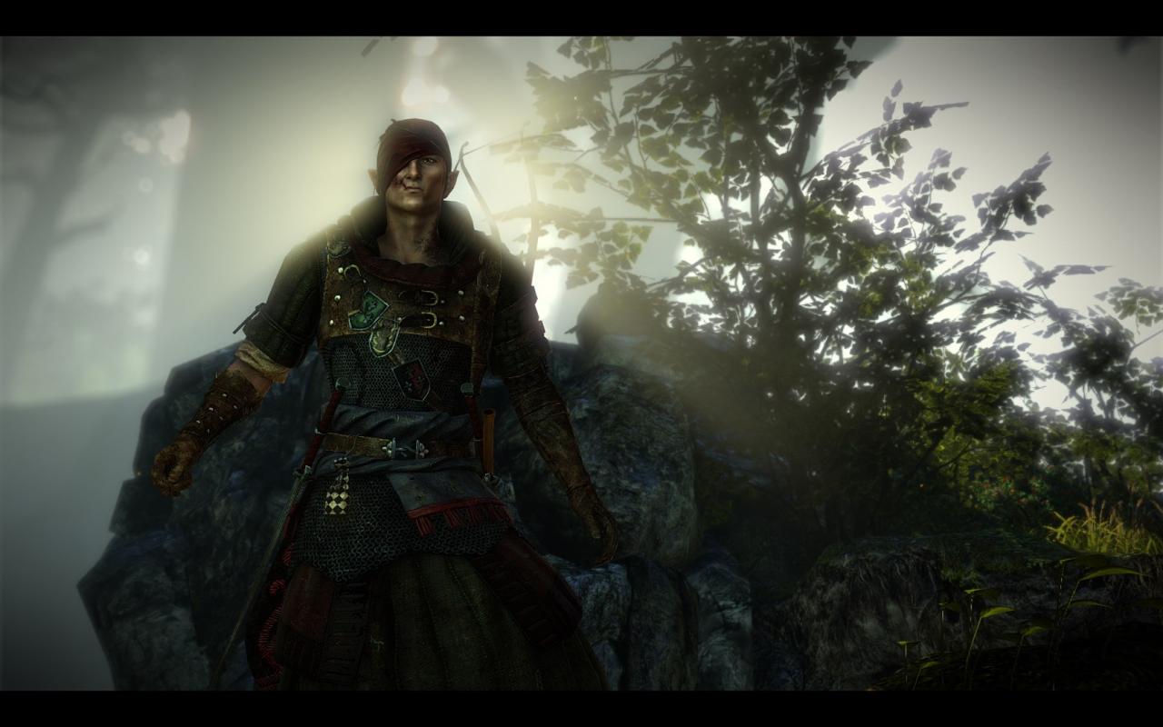 [19/05/2011] Witcher 2 Charakter Closeup 06