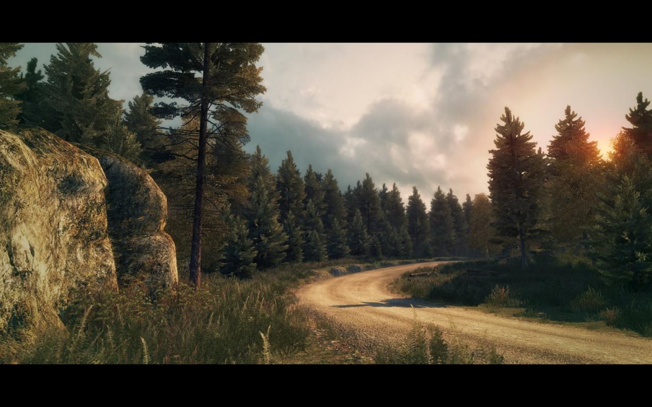 [26/05/2011] Dirt 3 by 007licensed (3)