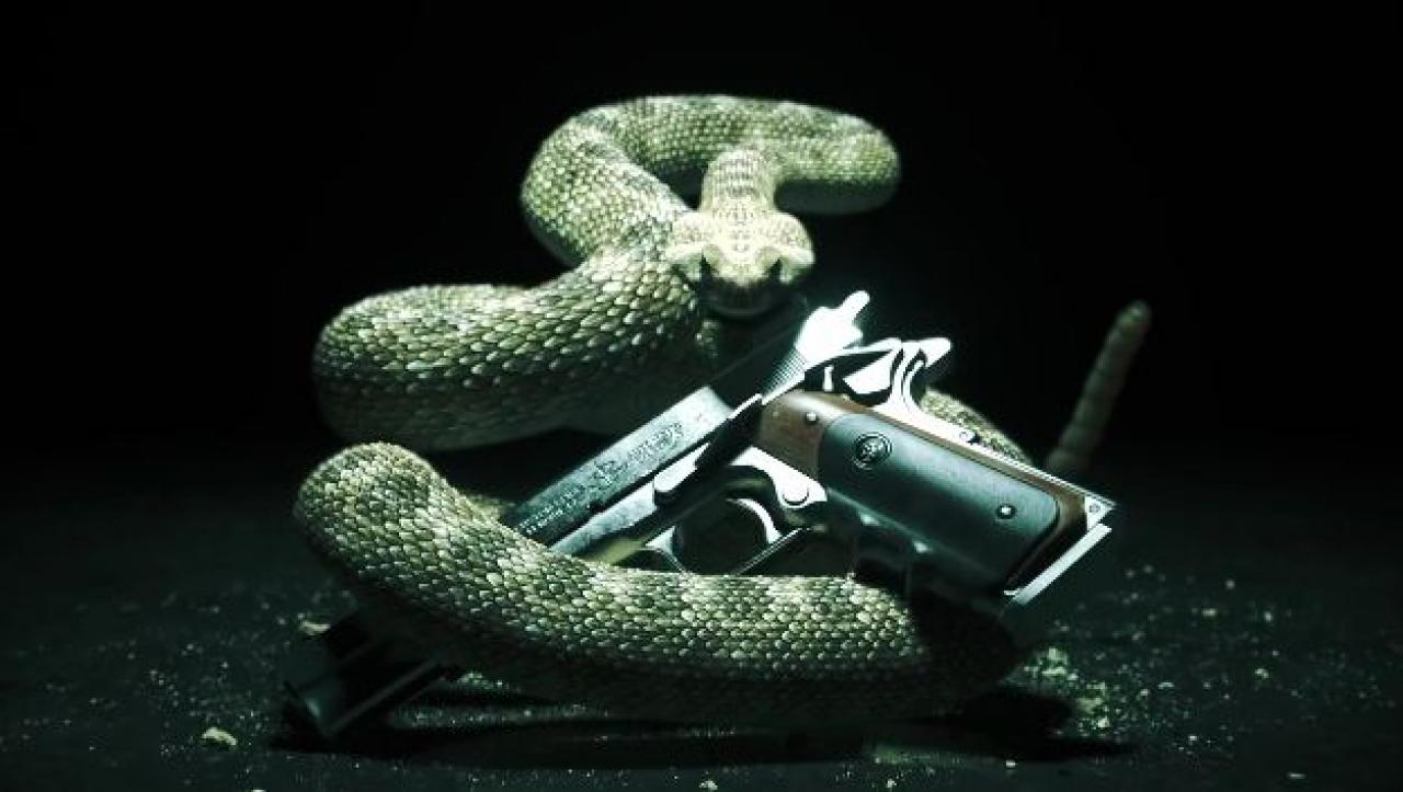 [10/05/2011] Hitman 5: Absolution: Die ersten Screenshots von der E3 (3)