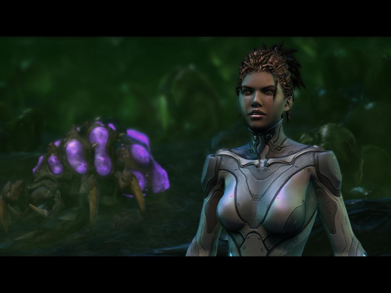 [30/05/2011] Platz 9: Blizzard: Starcraft 2 Heart of the Swarm