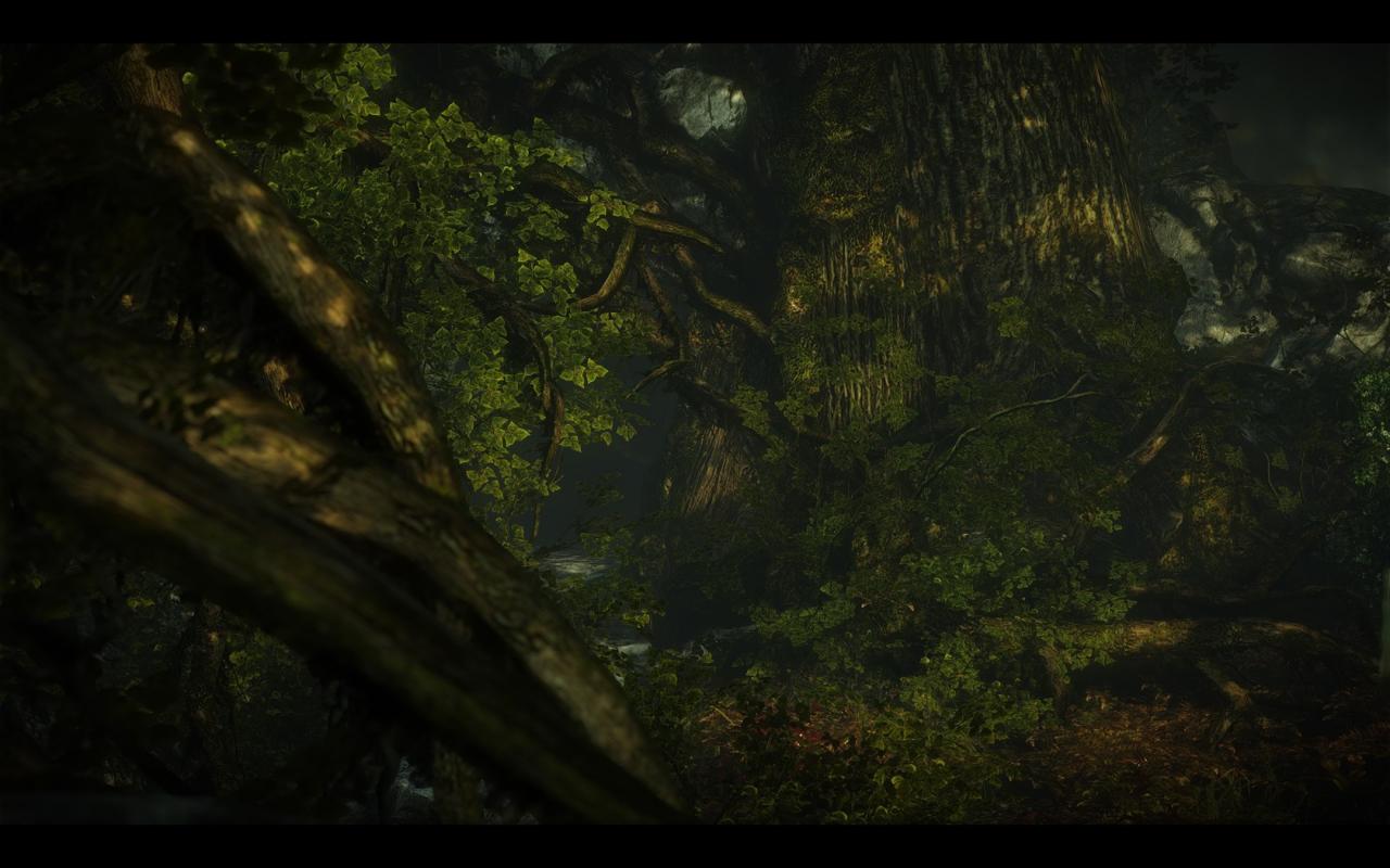 [18/05/2011] The Witcher 2 by 007licensed (25)