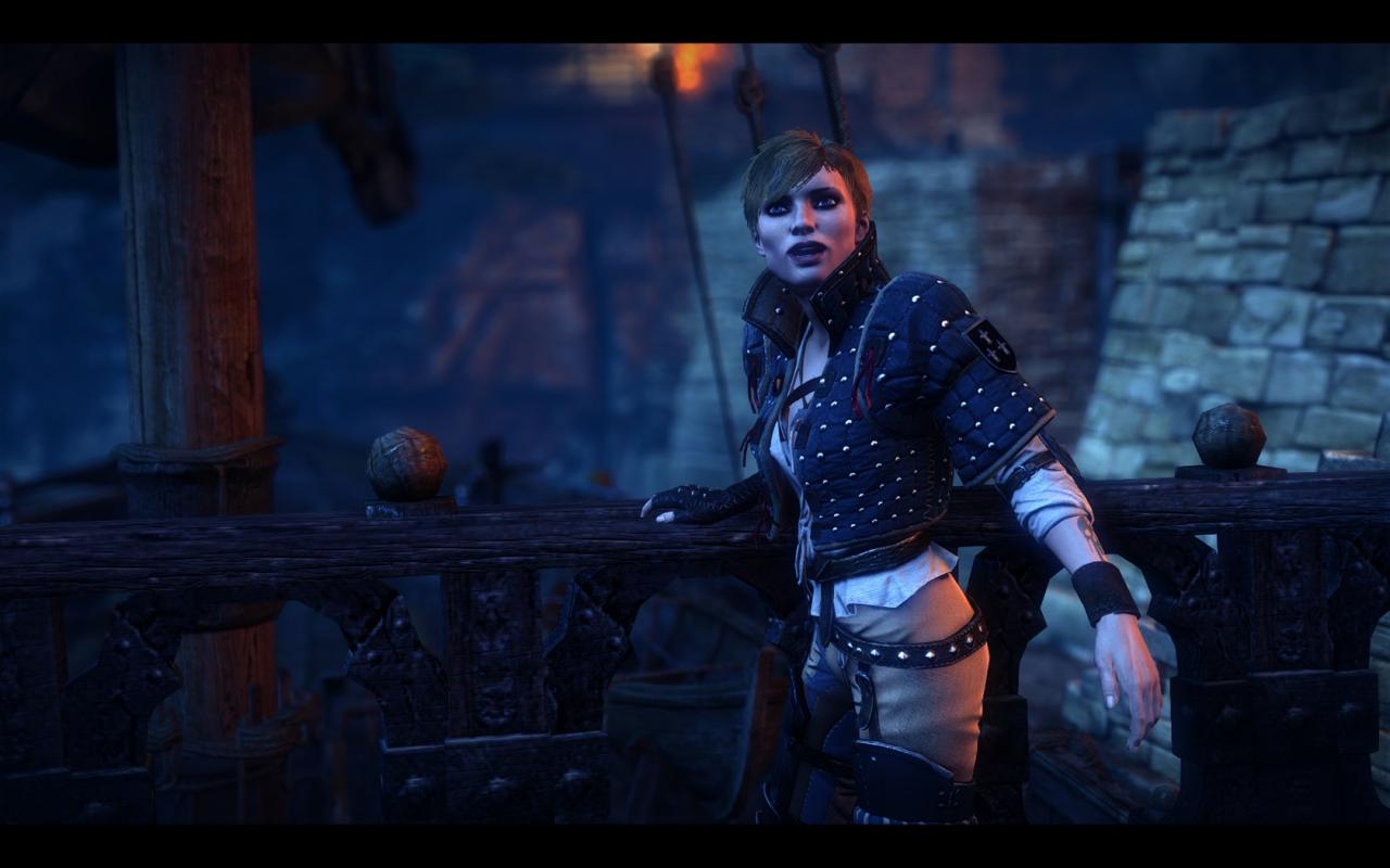 [18/05/2011] The Witcher 2 by 007licensed (26)