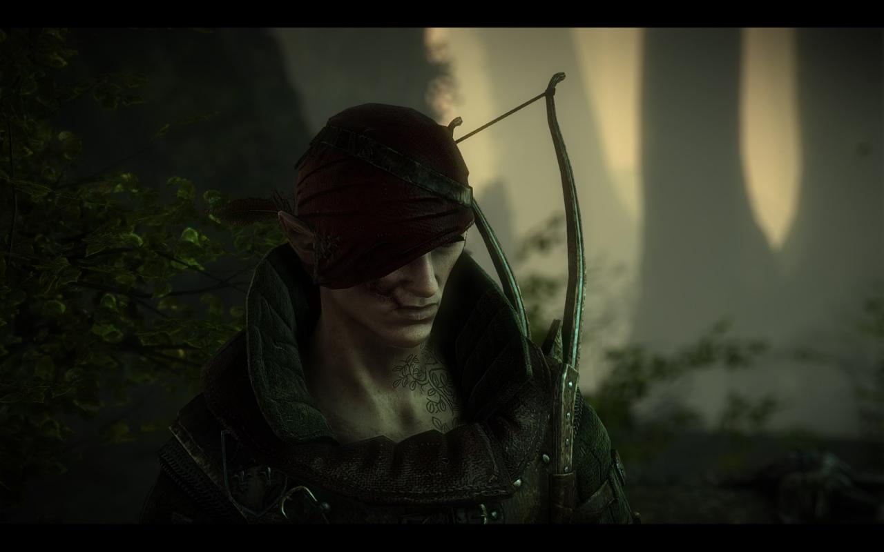 [18/05/2011] The Witcher 2 by 007licensed (36)