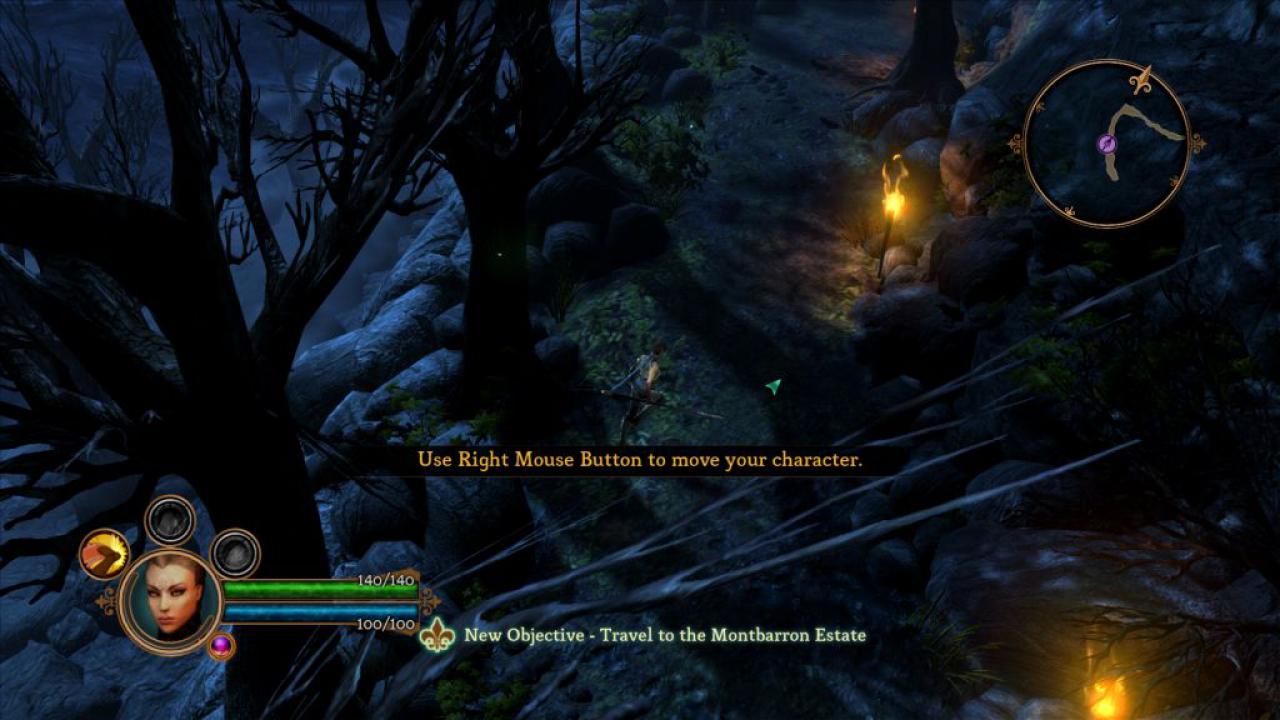 [07/06/2011] Dungeon Siege 3 (5)