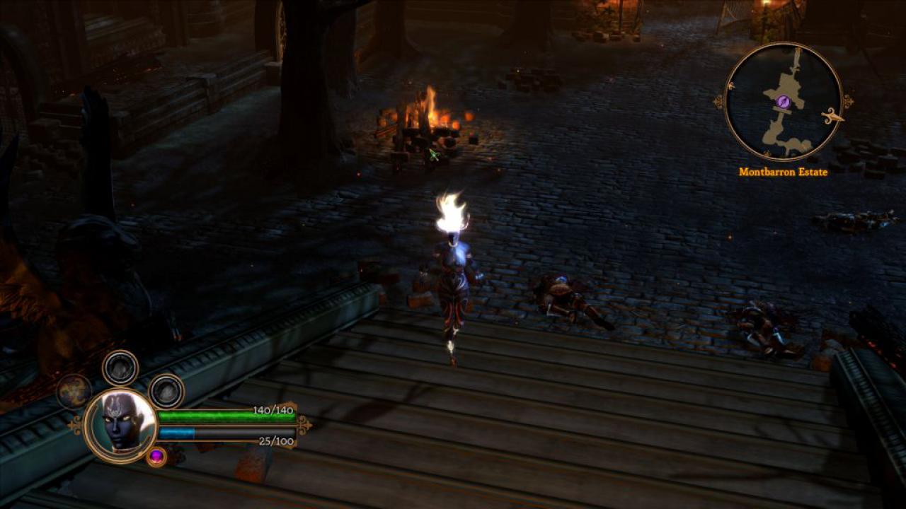 [07/06/2011] Dungeon Siege 3 (8)