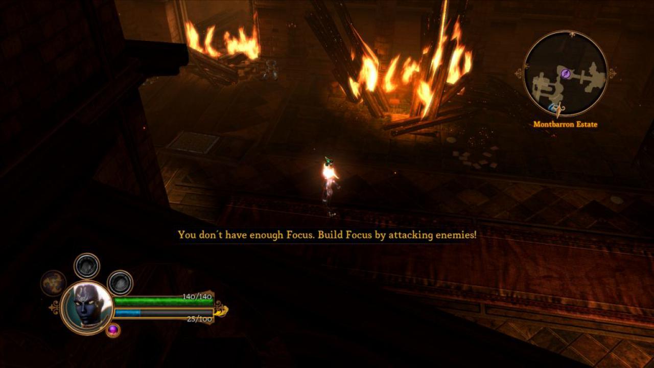 [07/06/2011] Dungeon Siege 3 (9)