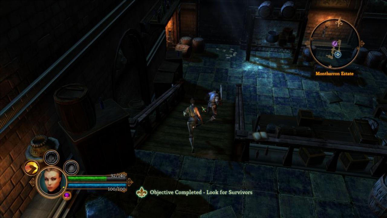 [07/06/2011] Dungeon Siege 3 (16)