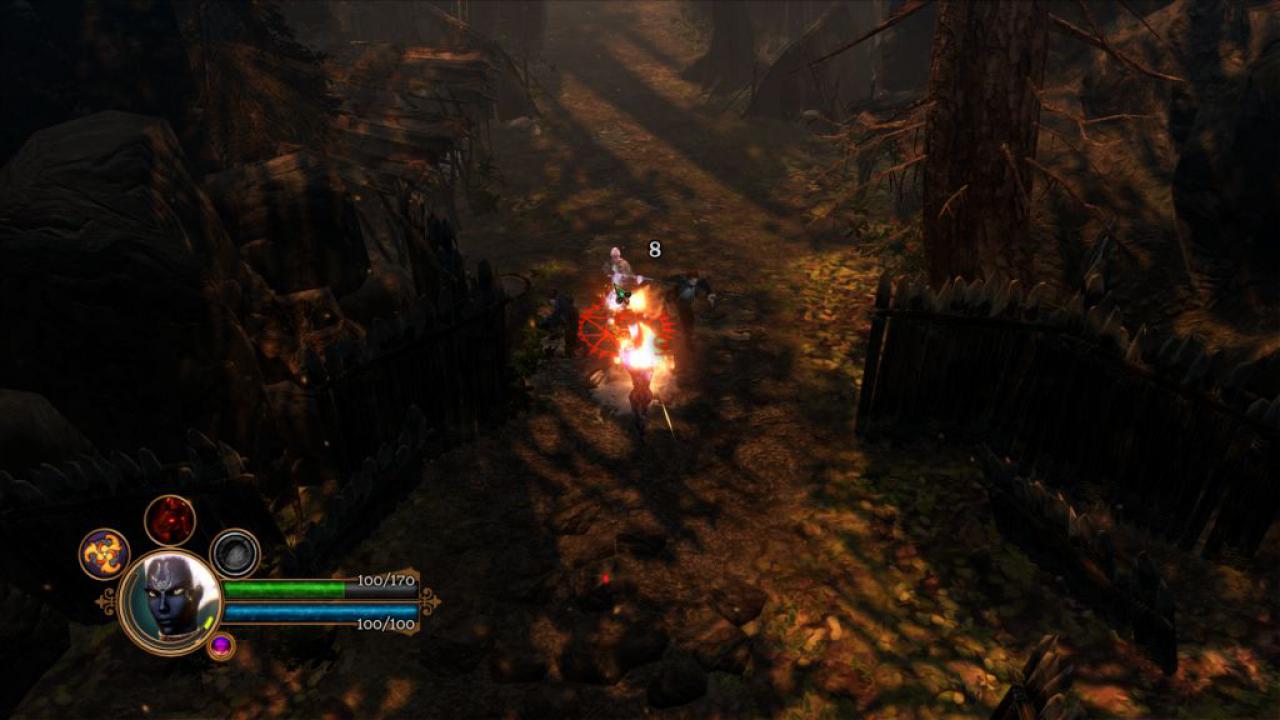 [07/06/2011] Dungeon Siege 3 (29)
