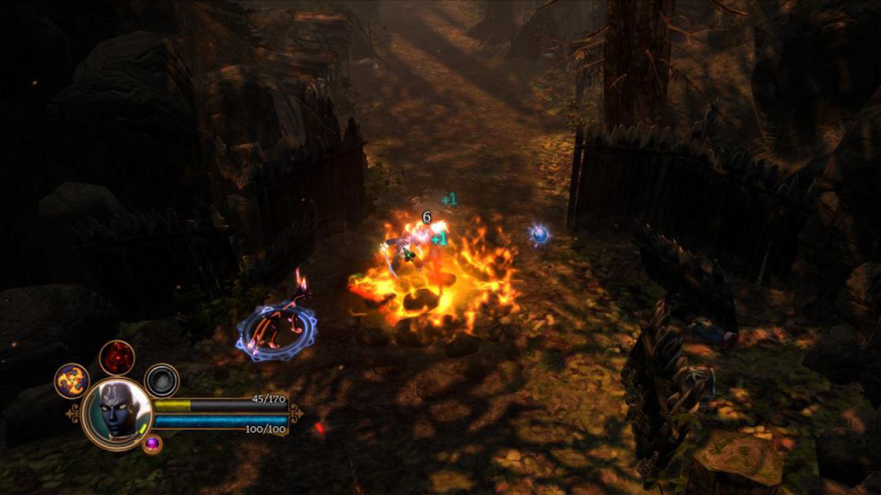 [07/06/2011] Dungeon Siege 3 (30)