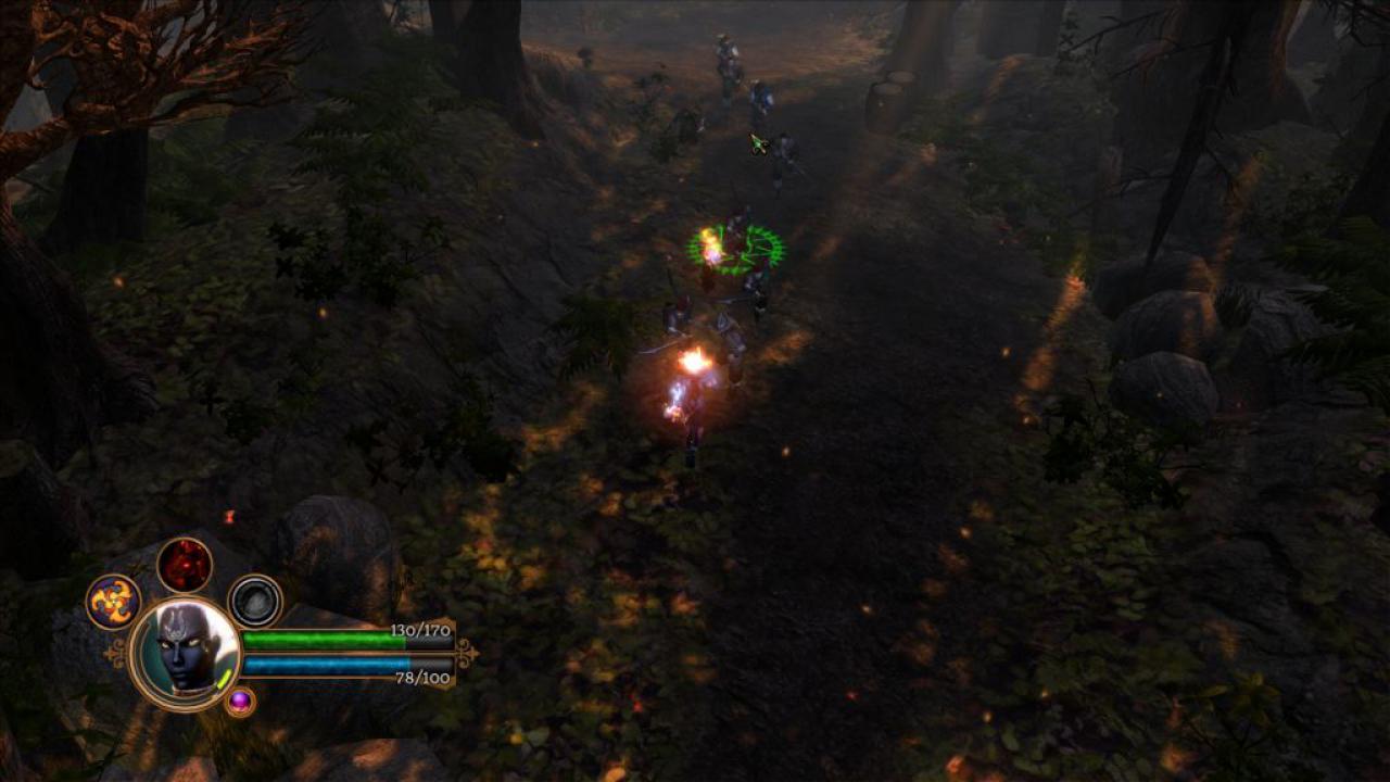 [07/06/2011] Dungeon Siege 3 (32)