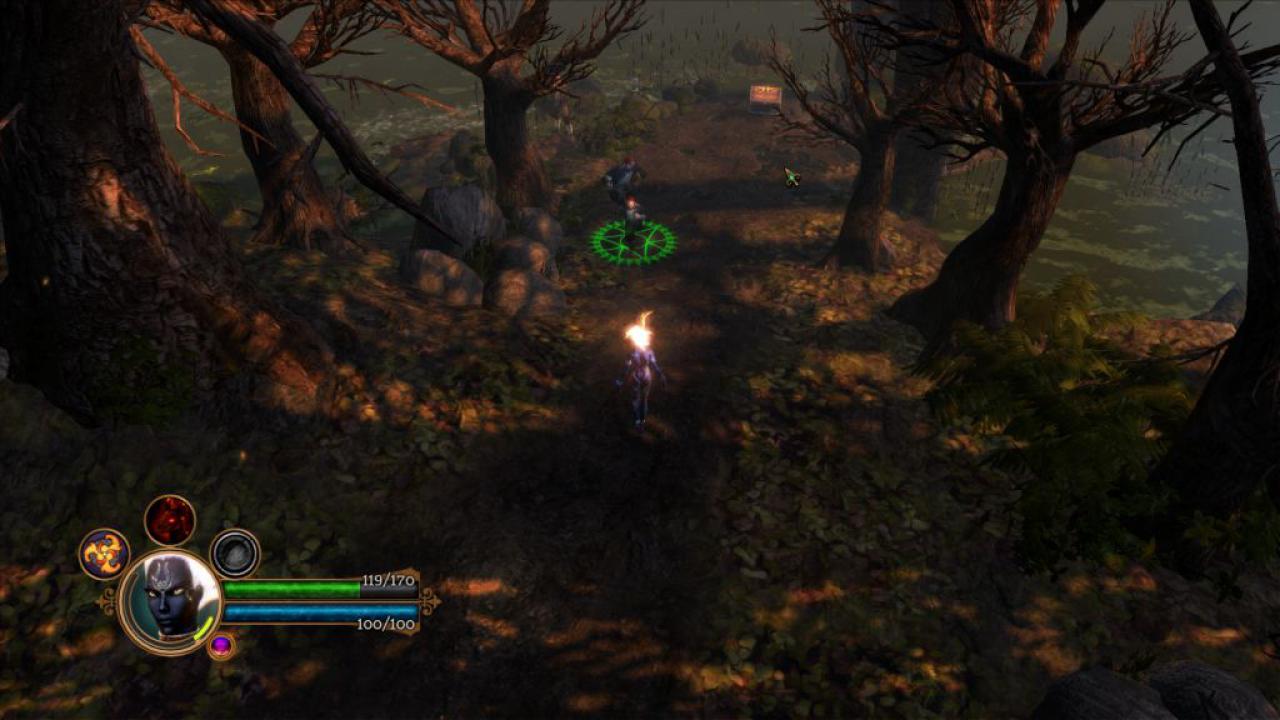[07/06/2011] Dungeon Siege 3 (33)