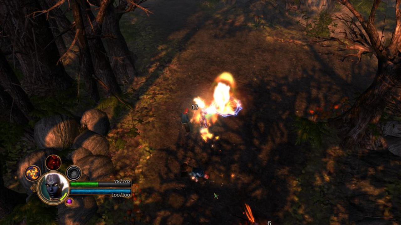 [07/06/2011] Dungeon Siege 3 (35)