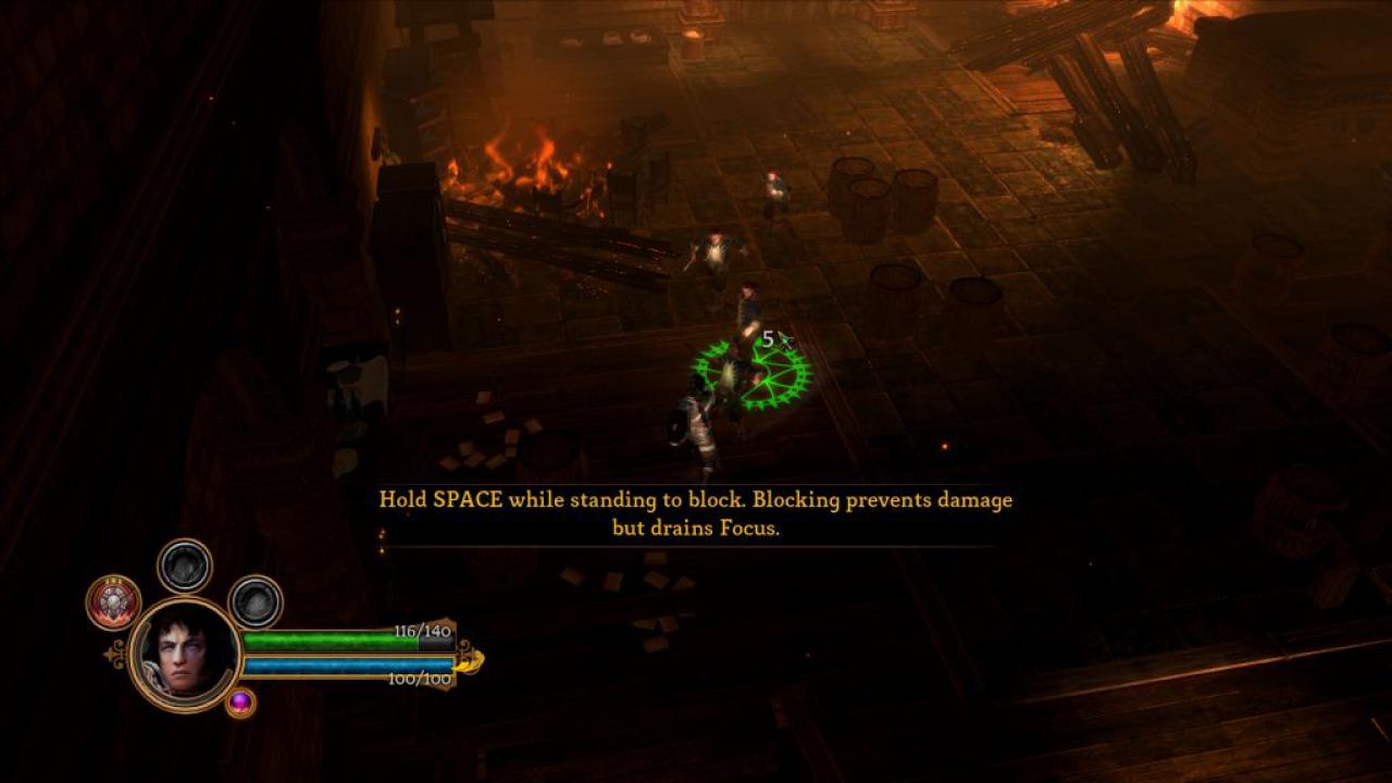 [07/06/2011] Dungeon Siege 3 (37)