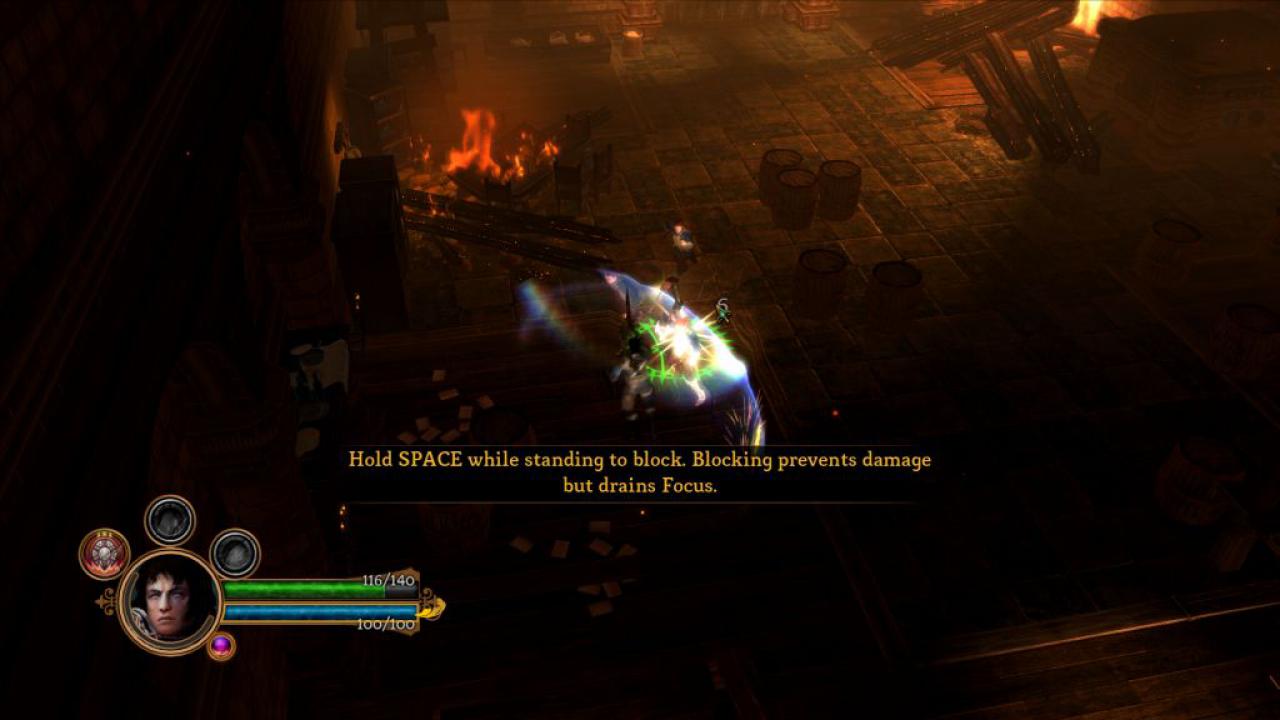 [07/06/2011] Dungeon Siege 3 (38)