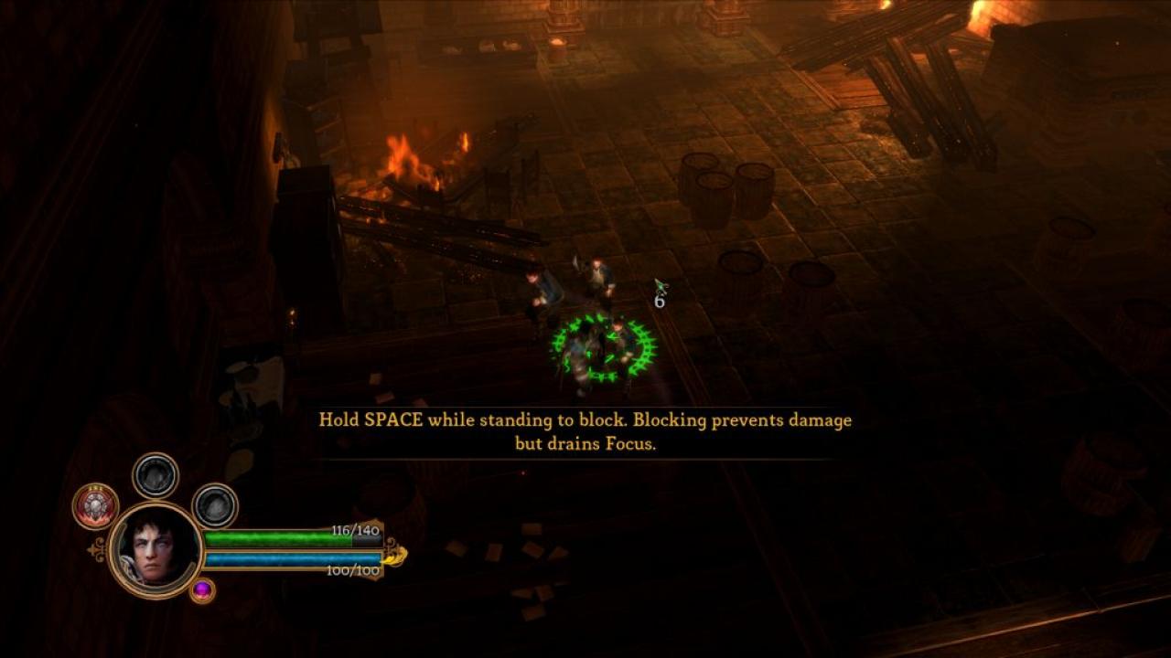 [07/06/2011] Dungeon Siege 3 (39)