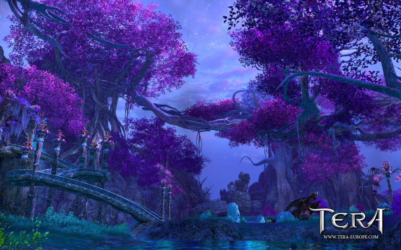 [06/06/2011] Tera: The Exiled Realm of Arborea - das Fantasy-MMO mit der Unreal Engine 3 (16)