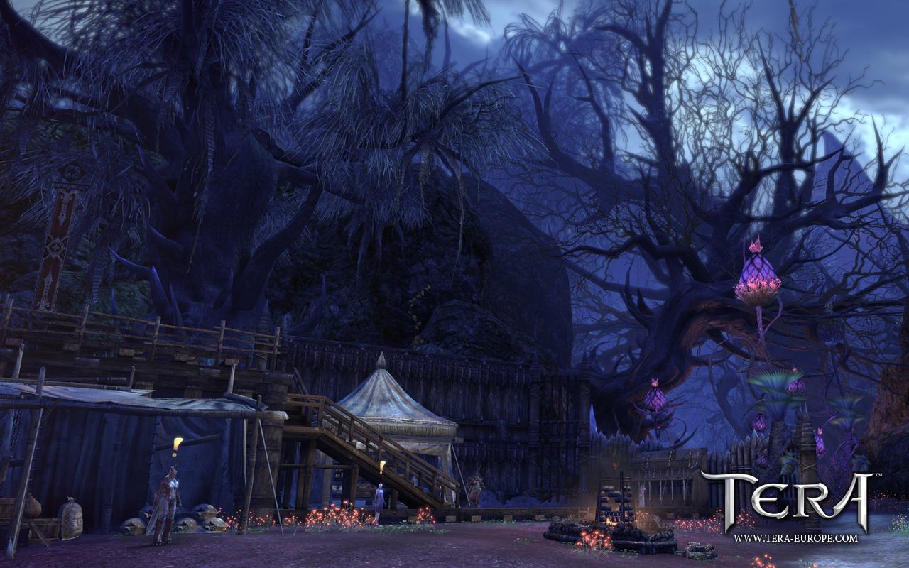 [06/06/2011] Tera: The Exiled Realm of Arborea - das Fantasy-MMO mit der Unreal Engine 3 (21)