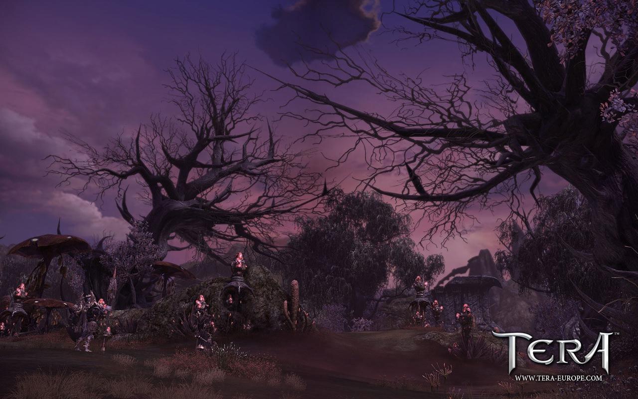 [06/06/2011] Tera: The Exiled Realm of Arborea - das Fantasy-MMO mit der Unreal Engine 3 (23)