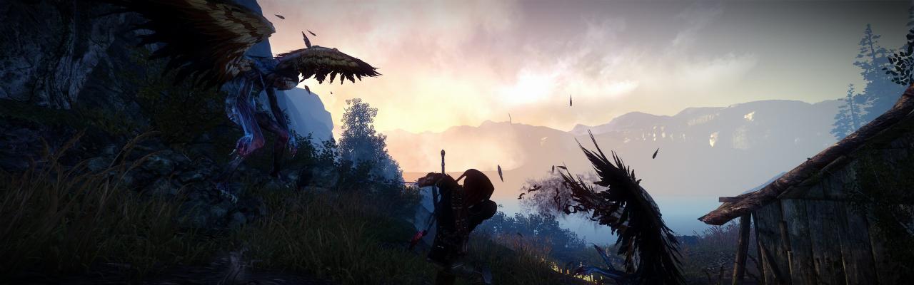 [01/06/2011] The Witcher 2 ohne HUD und im Surround-Format (1)
