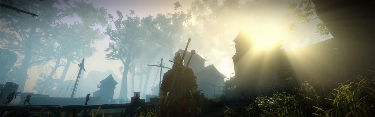 [01/06/2011] The Witcher 2 ohne HUD und im Surround-Format (5)