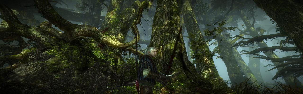 [01/06/2011] The Witcher 2 ohne HUD und im Surround-Format (6)