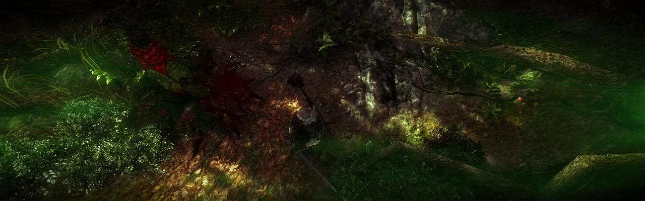 [01/06/2011] The Witcher 2 ohne HUD und im Surround-Format (9)