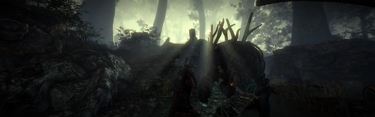 [01/06/2011] The Witcher 2 ohne HUD und im Surround-Format (10)
