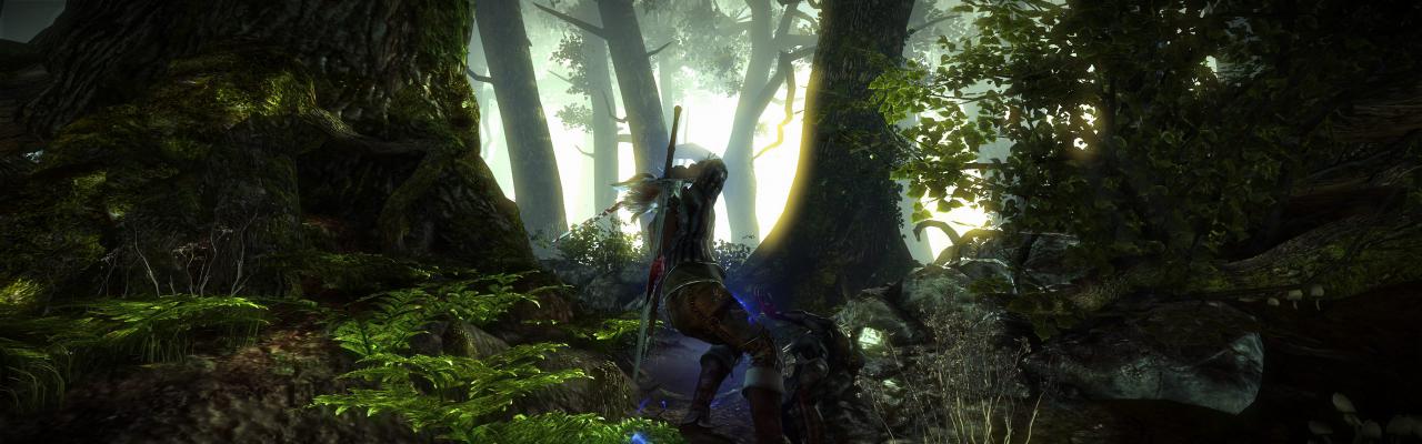 [01/06/2011] The Witcher 2 ohne HUD und im Surround-Format (11)