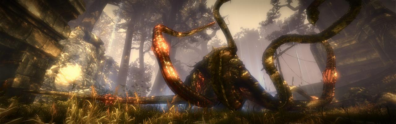 [01/06/2011] The Witcher 2 ohne HUD und im Surround-Format (12)