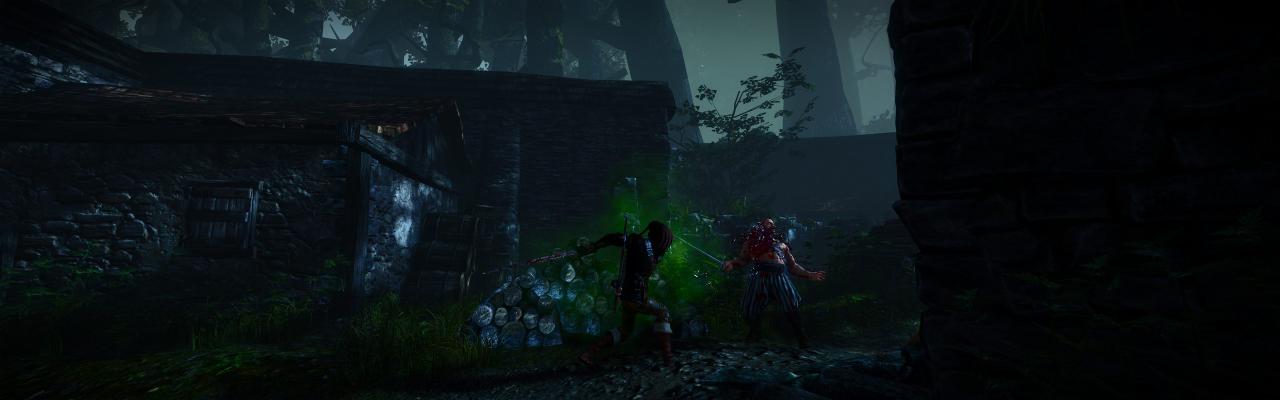 [01/06/2011] The Witcher 2 ohne HUD und im Surround-Format (15)