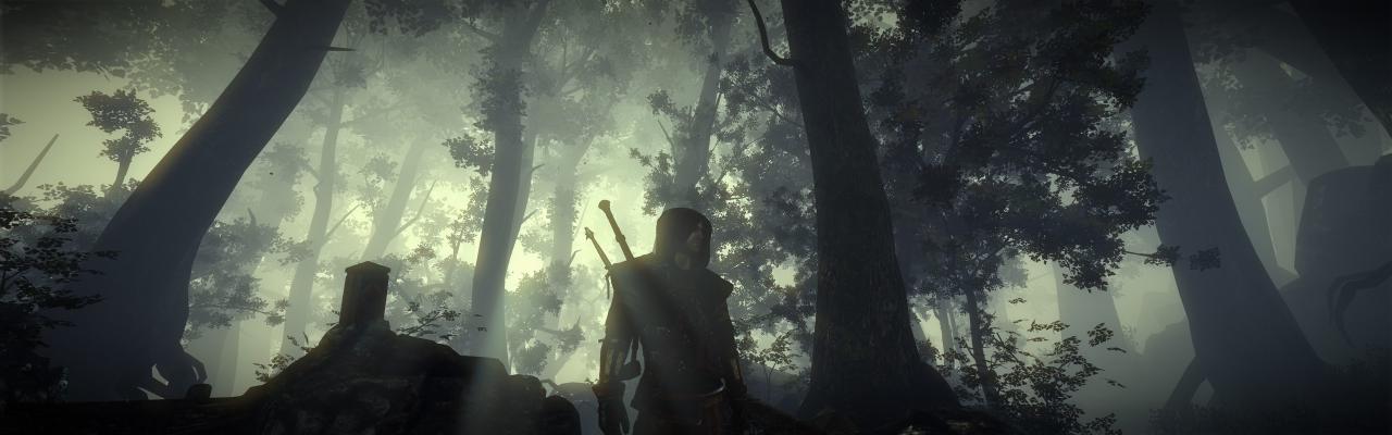 [01/06/2011] The Witcher 2 ohne HUD und im Surround-Format (16)