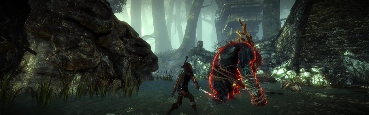 [01/06/2011] The Witcher 2 ohne HUD und im Surround-Format (19)