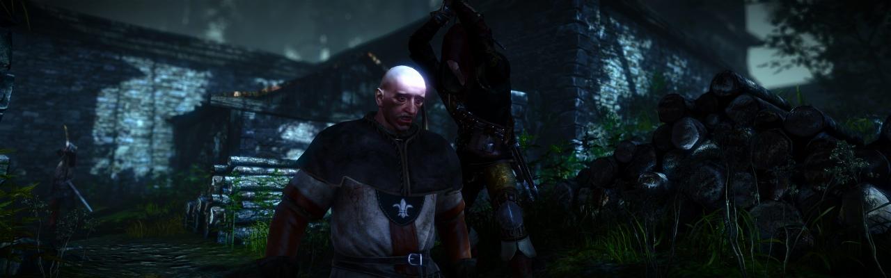 [01/06/2011] The Witcher 2 ohne HUD und im Surround-Format (20)