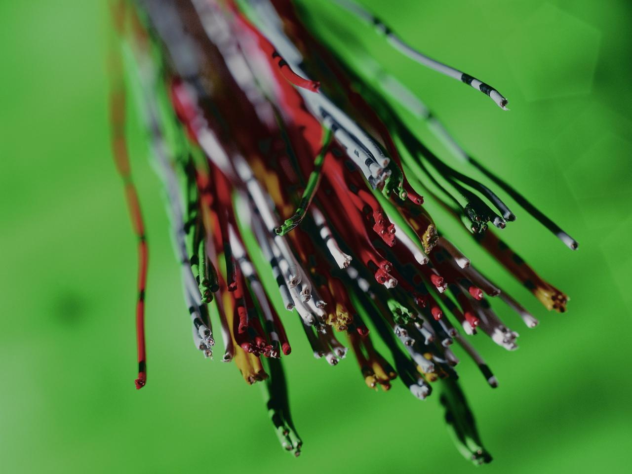 [08/06/2011] Fall 